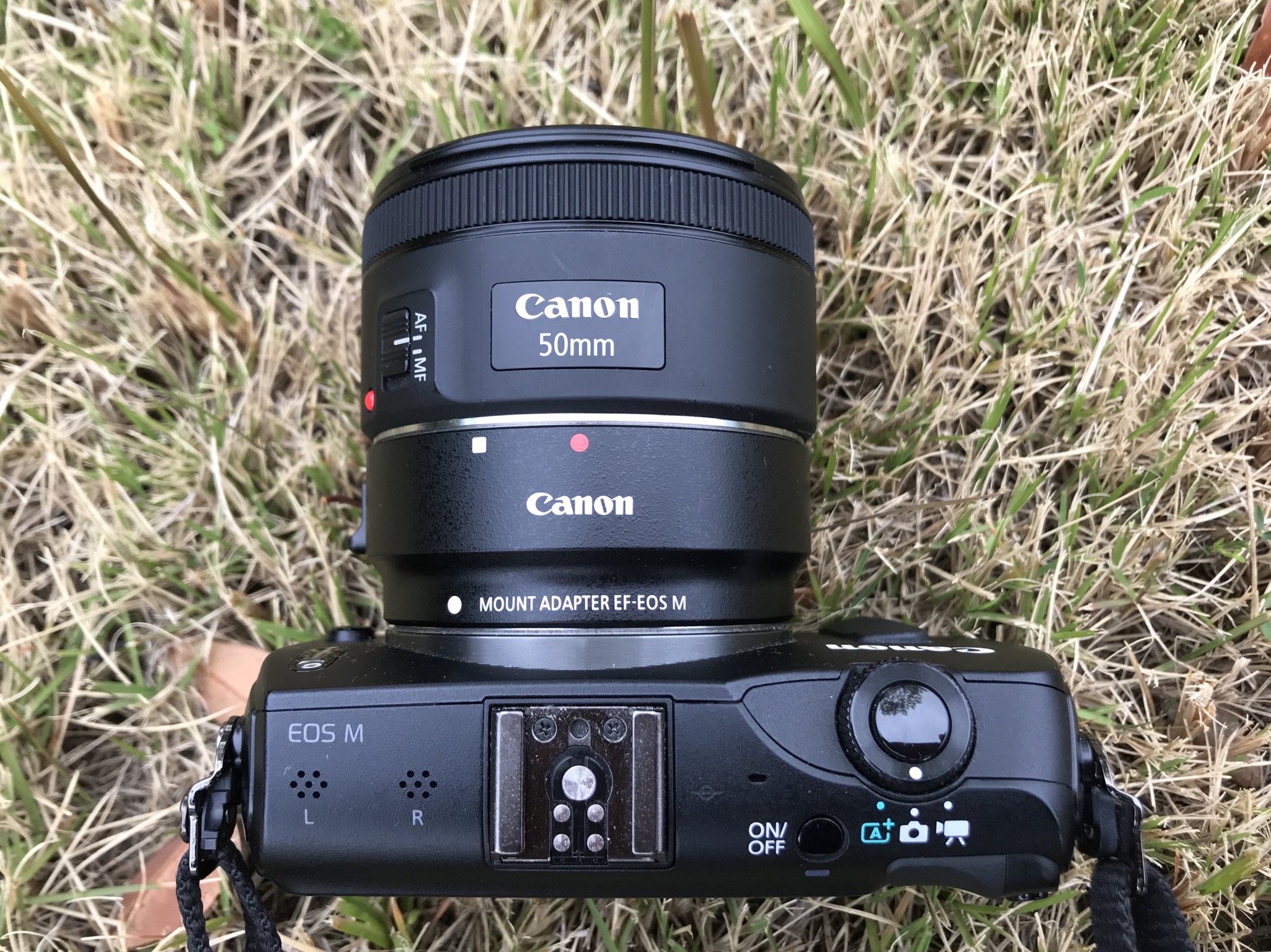 カメラ レンズ(単焦点) 保存版】キヤノンのオススメ単焦点レンズ。『EF 50mm F1.8 STM 