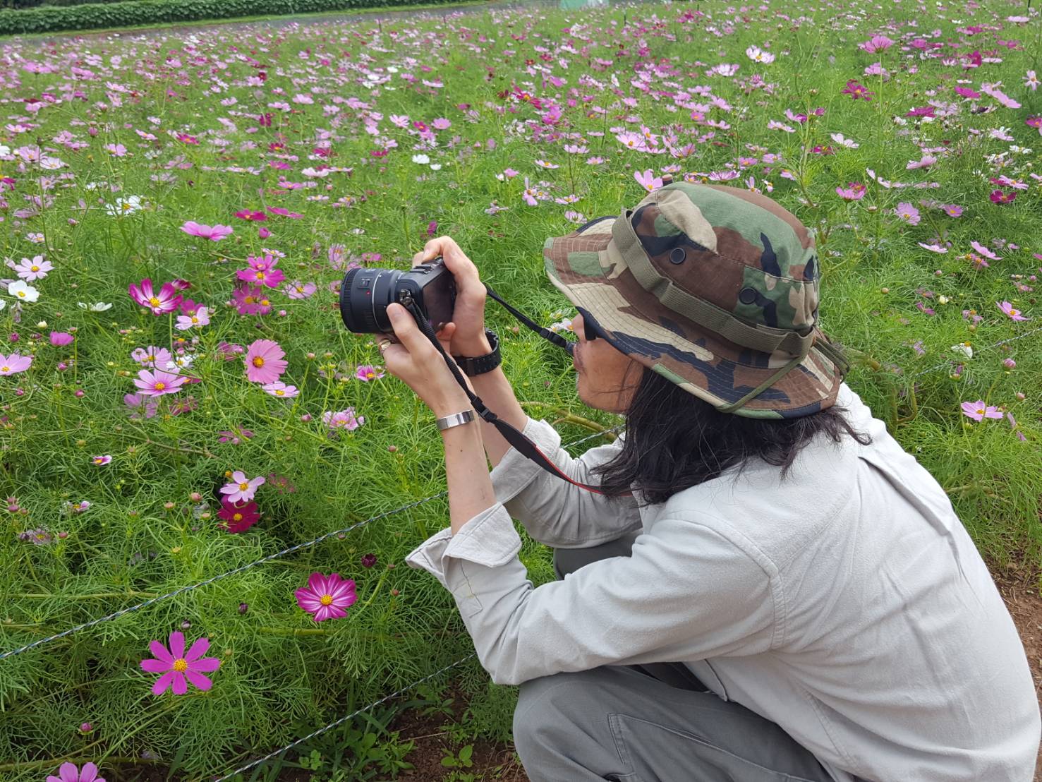 東京 Canon EF 50mm F2.5☆撮影の幅が広がる単焦点レンズ☆3165-2 - カメラ