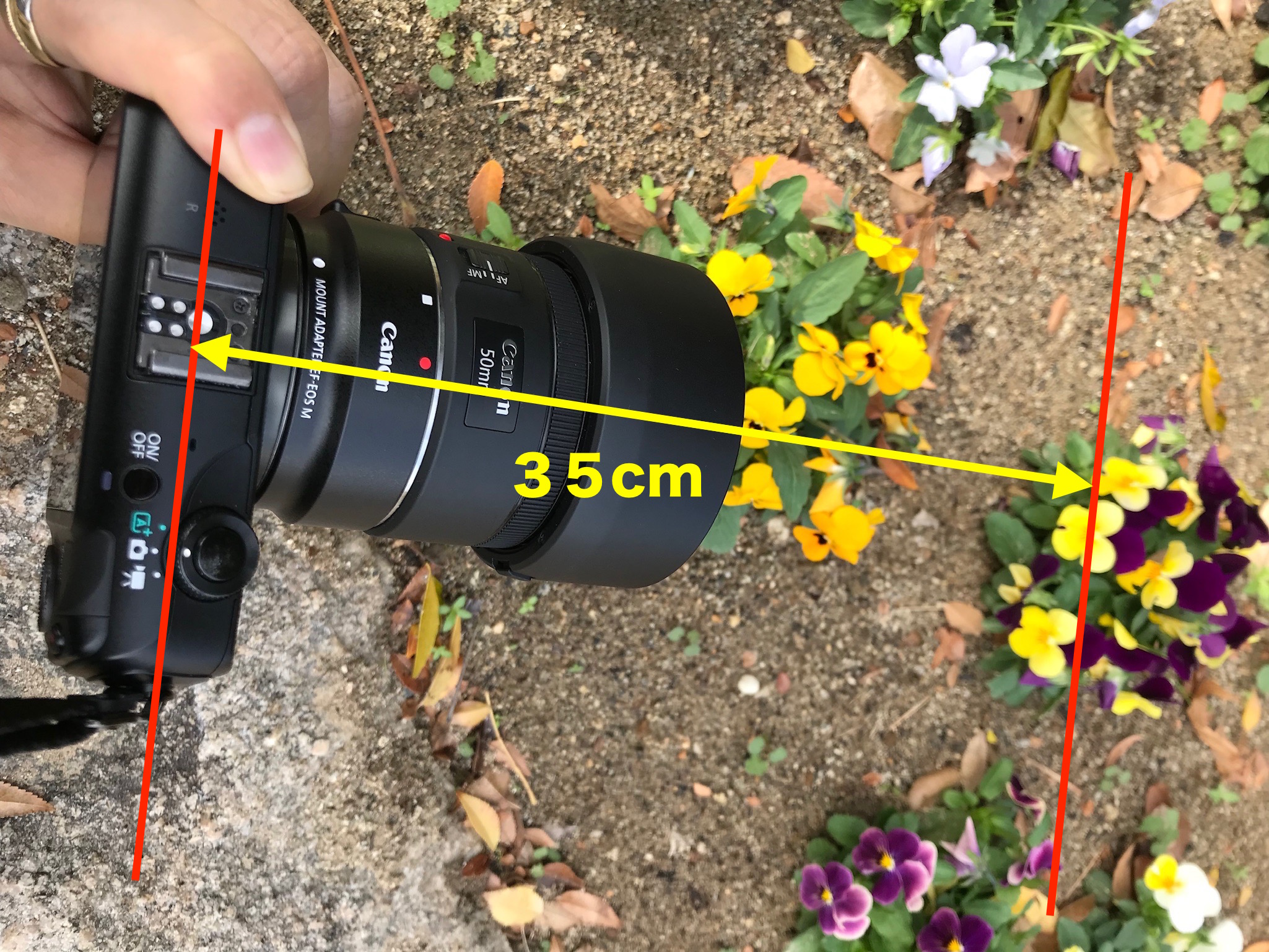 カメラ レンズ(単焦点) 保存版】キヤノンのオススメ単焦点レンズ。『EF 50mm F1.8 STM 